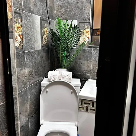 Micul Ateneu Apartament Bukareszt